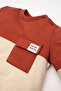 Baby Boy Regular Fit Crew Neck Color Blocked Soft Furry Thin Sweatshirt Fabric Sweatshir - 3