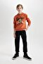 Boy's 2-Piece Set Tiger Printed Hooded Sweatshirt Elastic Waist Jogger Sweatpants D3559A82 - 2