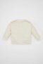 Baby Boy Crew Neck Dinosaur Printed Sweatshirt D1263A524Au - 4