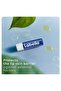 Original Lip Balm with Shea Butter – Moisturising Lip Care 4.8g Stick - 2