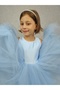 Girl's Evening Dress Island, Baby Blue Collar Pearl, Tutu Dress - 3