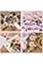 Clear Bead Organizer with 30 Grids, Storage Box for Diamond Painting, Seeds, Rhinestones & More - 3