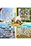 Seashell Display Box with 36 Grids, Acrylic Magnetic Storage for Jewelry, Beads & Crafts - 3