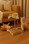 Hacıyatmaz Cat Scratching Board with Sound and Feather Mouse Head Toy with Sisal Floor - 2