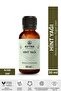Avyna Castor Oil (Intense Consistency Oil) 30 ml Cold Pressed 100% Pure and Natural