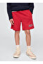 Elastic Waist Normal Red Boy's Shorts 890929007 - 4
