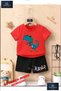 Kids Unisex “Rawr Dino Skateboarding“ Custom Printed Crew Neck T-Shirt - Shorts Set