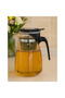 900 ml Glass Jug with Strainer - 2