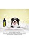 Bye Bye Buzz Spray 200ml - 2