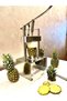 Ananas Soyma Makinesi - 5