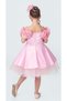 Babyaden Rose Detailed Buckle Boat Neck Satin Fluffy Evening Dress Birthday Party Costume Girl Children's Dress - 4