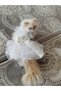 Cat &Dog Wedding Dress&Evening Dress Read Description Please - 8