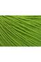 6X50Gr. Baby Merino Acrylic, Merino Wool Green Merino, Winter, Baby, Wool - 2