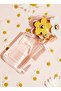 عطر ديزي أو سو فريش 125 مل - 6