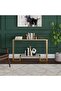 FFD Metal Glass Console Table With Clear Glass Shelves and Metal Frame