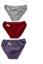 Silver Standard Size Panties 3 Pieces - 2