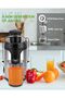 Hands-Free Electric Citrus Juicer – One-Button Stainless Steel Juicer for Orange, Lemon, Li - 2