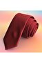 Burgundy Self Striped Plain Slim Fashion Slim Tie
