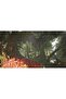 Monster Hunter Wilds - PS5 - 3
