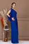 Chiffon Single Sleeve Detail Jumpsuit - Cobalt Blue - 6