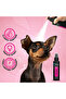 Princess Cologne [Volume - 100 ml] - 5
