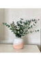 Decorative Set of 3: 8-Piece Artificial Tulip Bouquet + Eucalyptus Bouquet + 3-Piece Cotton Grass – Living Room & Table Flower - 7