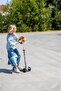 Scooter Accessory, Lion - 3