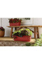 Eleanor Rectangular Window Plastic Planter 24inch - 5