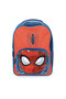 Web Weaver backpack, bag 30 cm