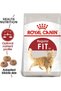 Royal Canin Feline Health Nutrition Fit 32 10+2 Kg - 2