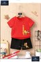 Children's Unisex “Jerry Single Cheese Calan“ Special Printed Crew Neck T-Shirt - Shorts Set