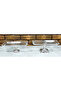 Avangarde Silver Cast Footed 2 Piece Baton Presentation Set