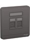 AvatarOn E8332RJS_DG 1 Gang 2 Keystone Wallplate Jack RJ-45 Dark Grey