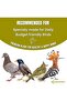Bird Food Daily Budget-Friendly - 1 Kg, Bird Seed - 6