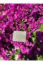 Women's Gold Glitter Stylish Card Holder - 5 Compartments Minimal Design - 2