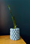 Bubbles 16x15cm - 4