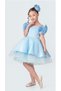 Babyaden Rose Detailed Buckle Boat Neck Satin Fluffy Evening Dress Birthday Party Costume Girl Children's Dress
