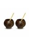 2 Coconut Cups and 2 Bamboo Straws - Coconut Cups - Cocktail Glass - 5