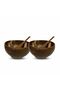 2-Piece Coconut Bowl, Spoon and Bowl Pad - Bowl Bowl - Coconut Bowl - 4