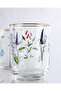 Melay 4-Piece Water Glass Set - Transparent - 5