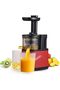 Slow Masticating Juicer, Cold Press Juicer Machines with Quiet Motor, 2-Speed Modes, High Jui