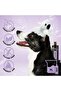 Iris & Amber Shampoo[Volume - 450 ml - 5