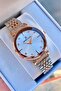 Daniel Klein Women's Watch Original Waterproof Steel 2 Years Warranty with Invoice Bracelet with Gift