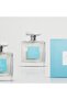 Privilege Ozone By AMD Perfumes Unisex Fragrance EDP 100ml - 4