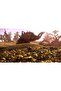 قلوب برية PS5 - 6
