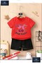 Kids Unisex “Cherry Smile Forever“ Custom Printed Crew Neck T-Shirt - Shorts Set