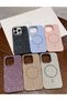 iPhone 16 Pro (2024) Shiny Design with Silver Finish Magsafe Compatible Stylish Case - 3
