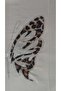 Viscose Butterfly Printed Stone Embroidered T-Shirt - 2