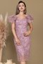 İşleme D Lace Boat Neck Pencil Long Dress - Powder - 5