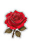 Red Rose Red Rose Sticker Car, Motorcycle, Helmet, Laptop, Glass Sticker 13X11 cm